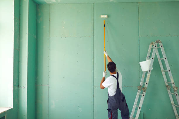 Reliable Tonawanda, NY Dry wall and painting Solutions