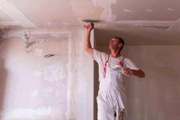  Tonawanda, NY Dry wall and painting Pros